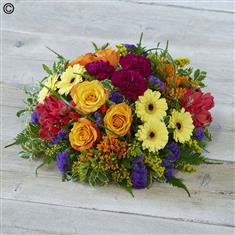 Bold Brights Posy Extra Large