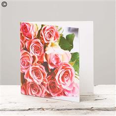 Pink Rose Greetings Card